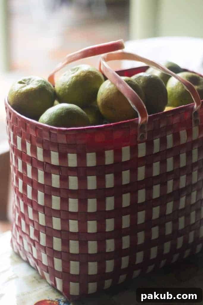 Freshly picked oranges in a rustic red and white bag, symbolizing the vibrant ingredients used in the cake.