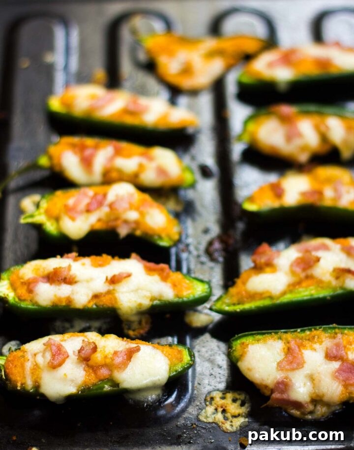 Oven Baked Cottage Jalapeno Delights 3 A black tray showcasing rows of golden-brown baked jalapeno poppers, perfectly lined up and ready for serving.