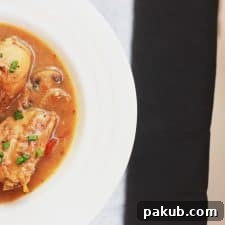 A beautifully presented bowl of homemade chicken stew, garnished and ready to serve.