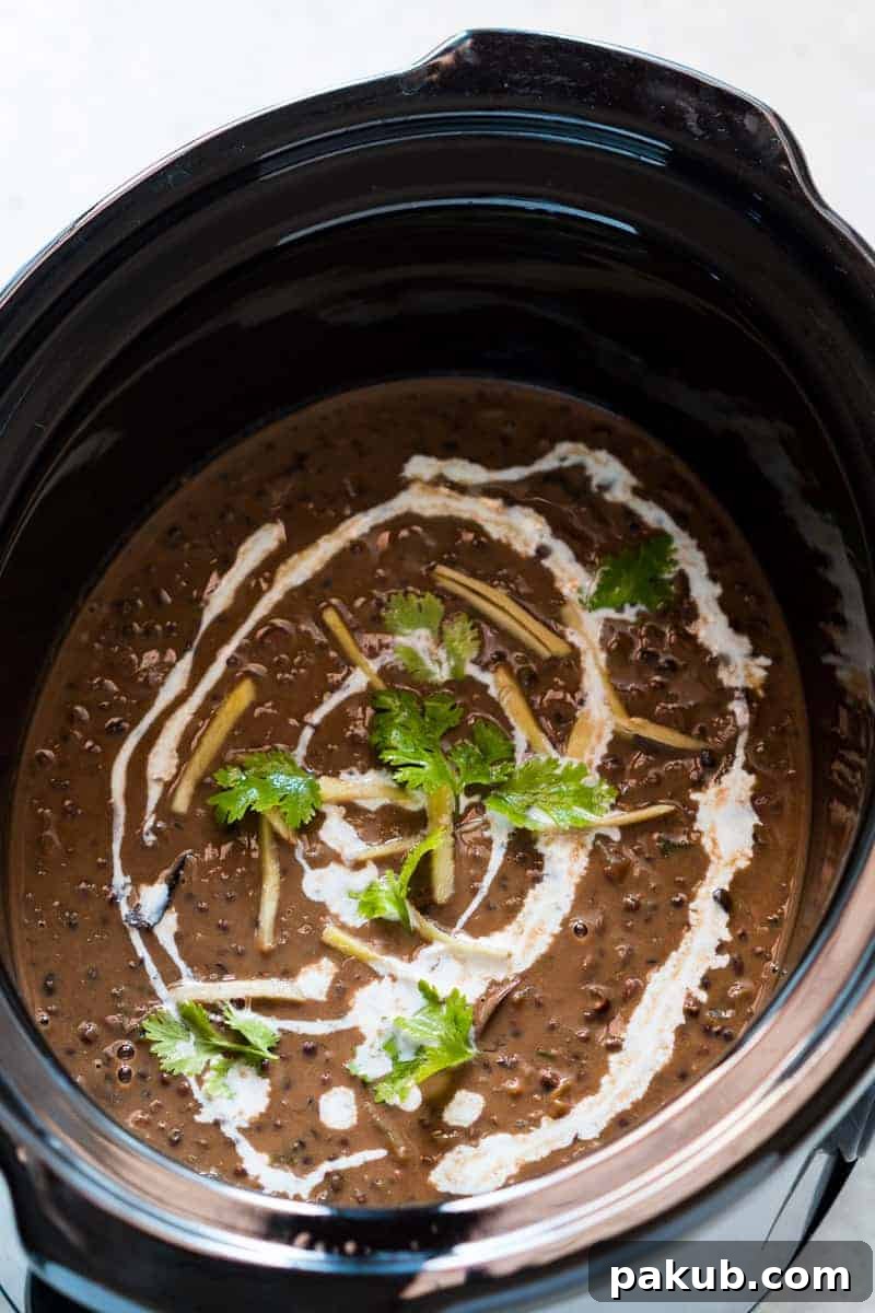 Set It and Forget It Slow Cooker Dal Makhani 3 A vibrant bowl of Slow Cooker Dal Makhani, rich and dark, topped with a generous swirl of fresh cream, finely chopped ginger matchsticks, and bright green cilantro, ready to be enjoyed as a hearty and comforting meal.