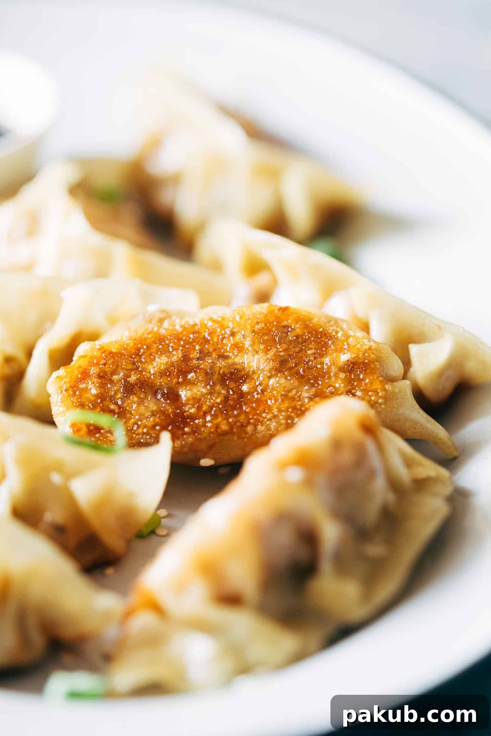 Spiced Paneer and Carrot Potstickers 6 A close-up shot of vegetarian gyoza potstickers being pan-fried, showing the delicious crisping on the bottom and steam escaping from the covered pan.