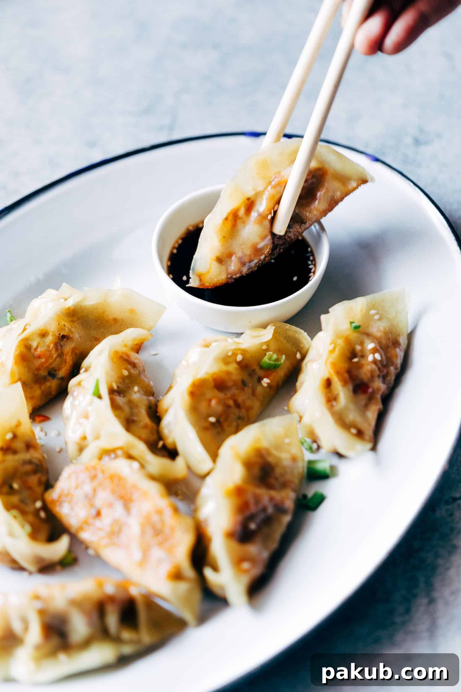 Spiced Paneer and Carrot Potstickers 7 A serving of golden brown vegetarian gyoza potstickers, arranged attractively on a plate with a side of savory dipping sauce, ready to be enjoyed.