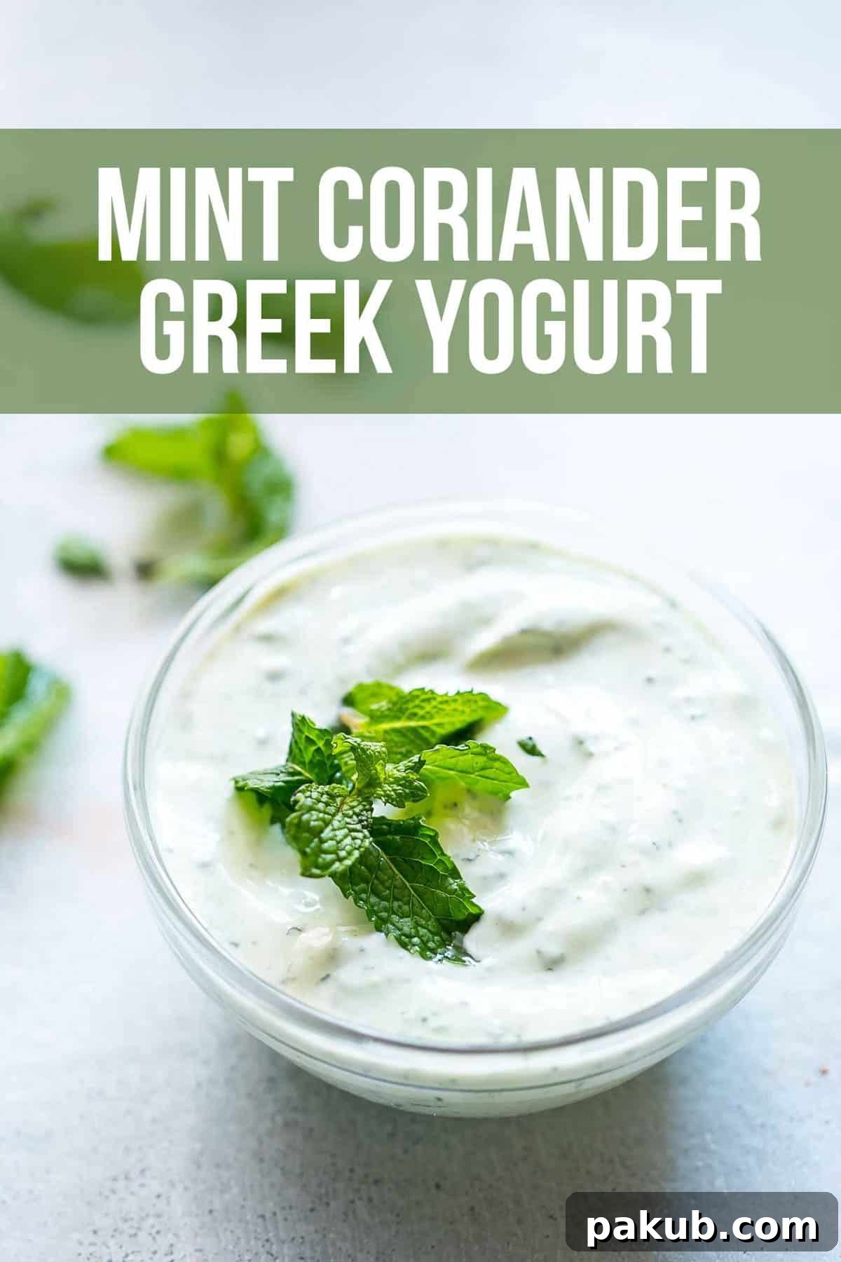 Refreshing mint coriander Greek yogurt served in a bowl, garnished with fresh mint leaves on top.