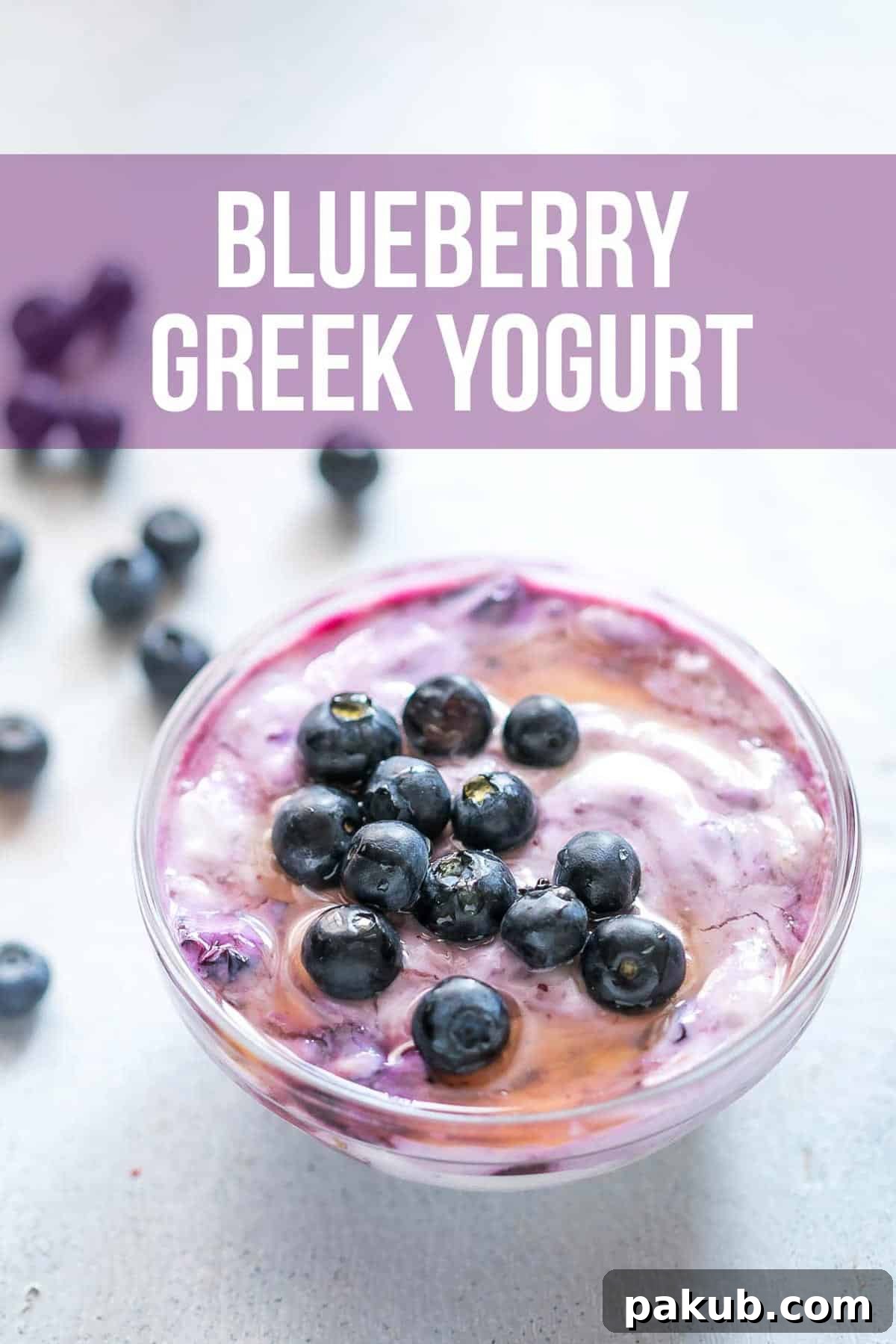 Blueberry Greek yogurt served in a bowl, adorned with fresh blueberries and a delicate drizzle of honey on top.