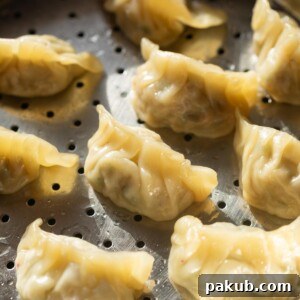 Freshly steamed veg momos, showing their delicate wrappers and inviting appearance.
