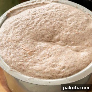 Ragi dosa batter in a bowl, ready for cooking nutritious and healthy dosas or idlis.