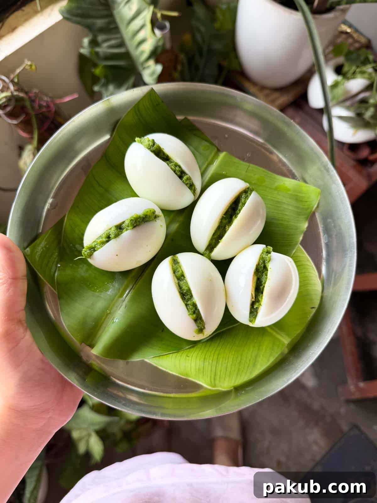 a person holding a plate of masala stuffed eggs