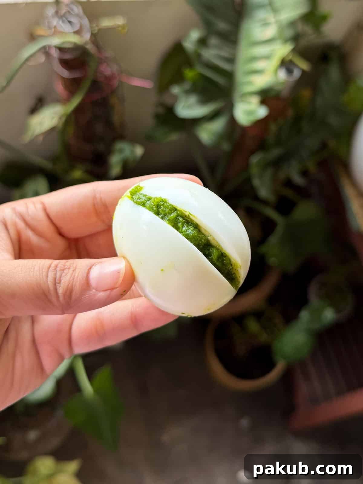 a person holding a stuffed egg to showcase it's texture