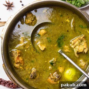 chicken shorba in a pressure cooker with ladle