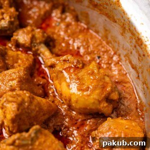 a close up image of chicken korma to showcase it's creamy and juicy texture