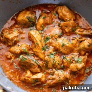Closeup picture of dahi chicken in a kadhai that it was cooked in
