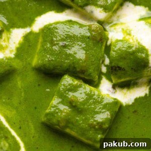 Closeup of the palak paneer gravy to show the luxurious, rich curry base