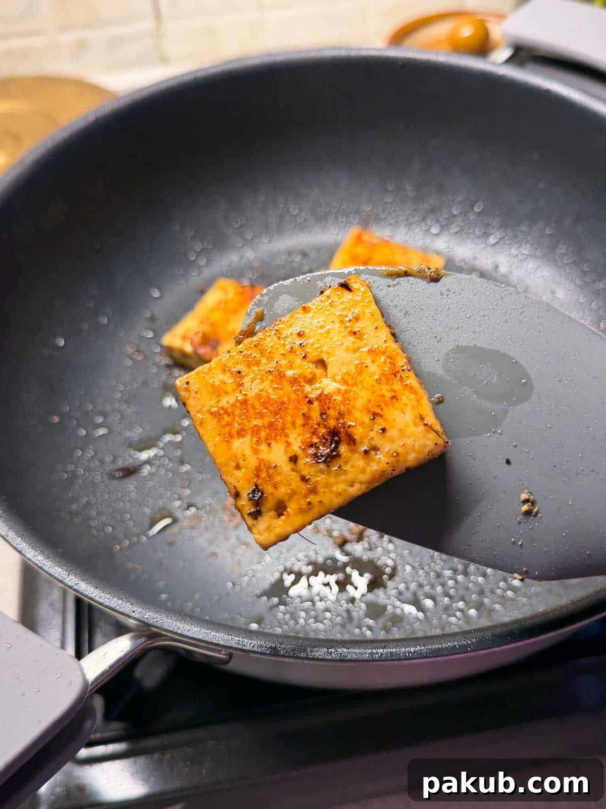 Paneer Sizzler with Tangy Shashlik Sauce 4 close up shot of sauteed paneer sauteed to showcase its color and texture