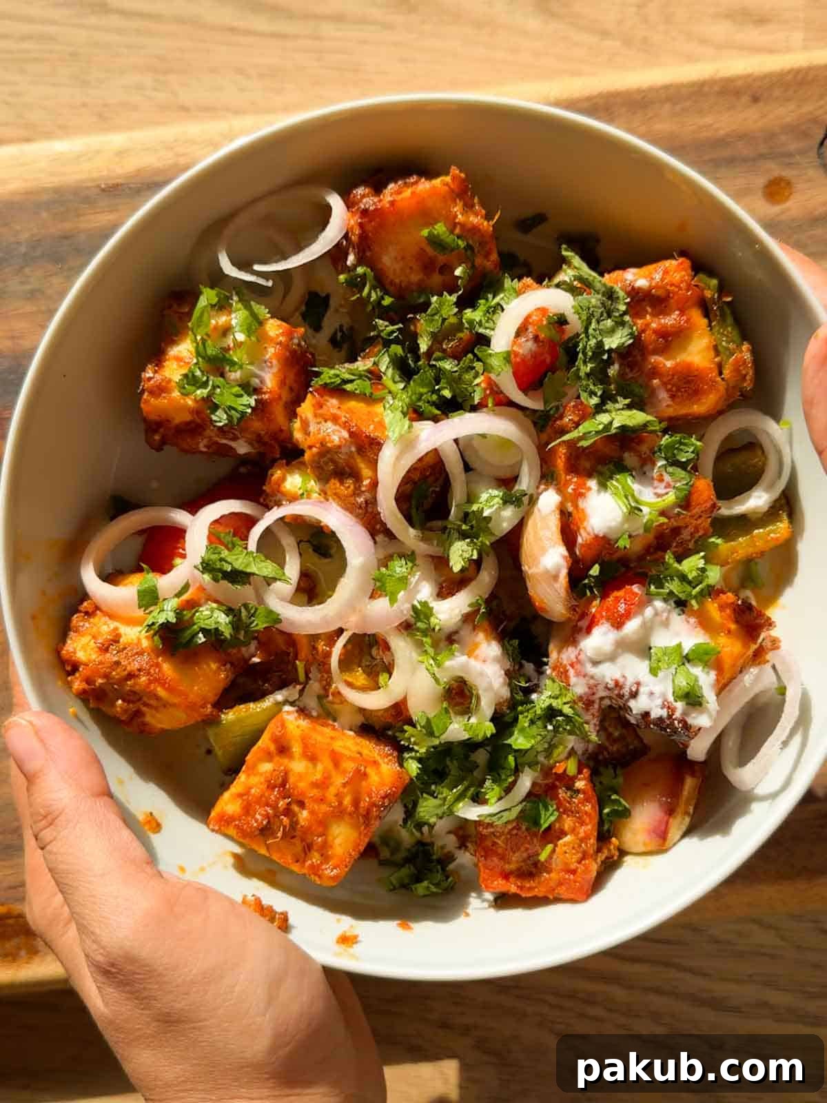 Crispy Air Fryer Paneer Tikka Recipe 3 air fryer paneer tikka served in a white bowl with accompaniments