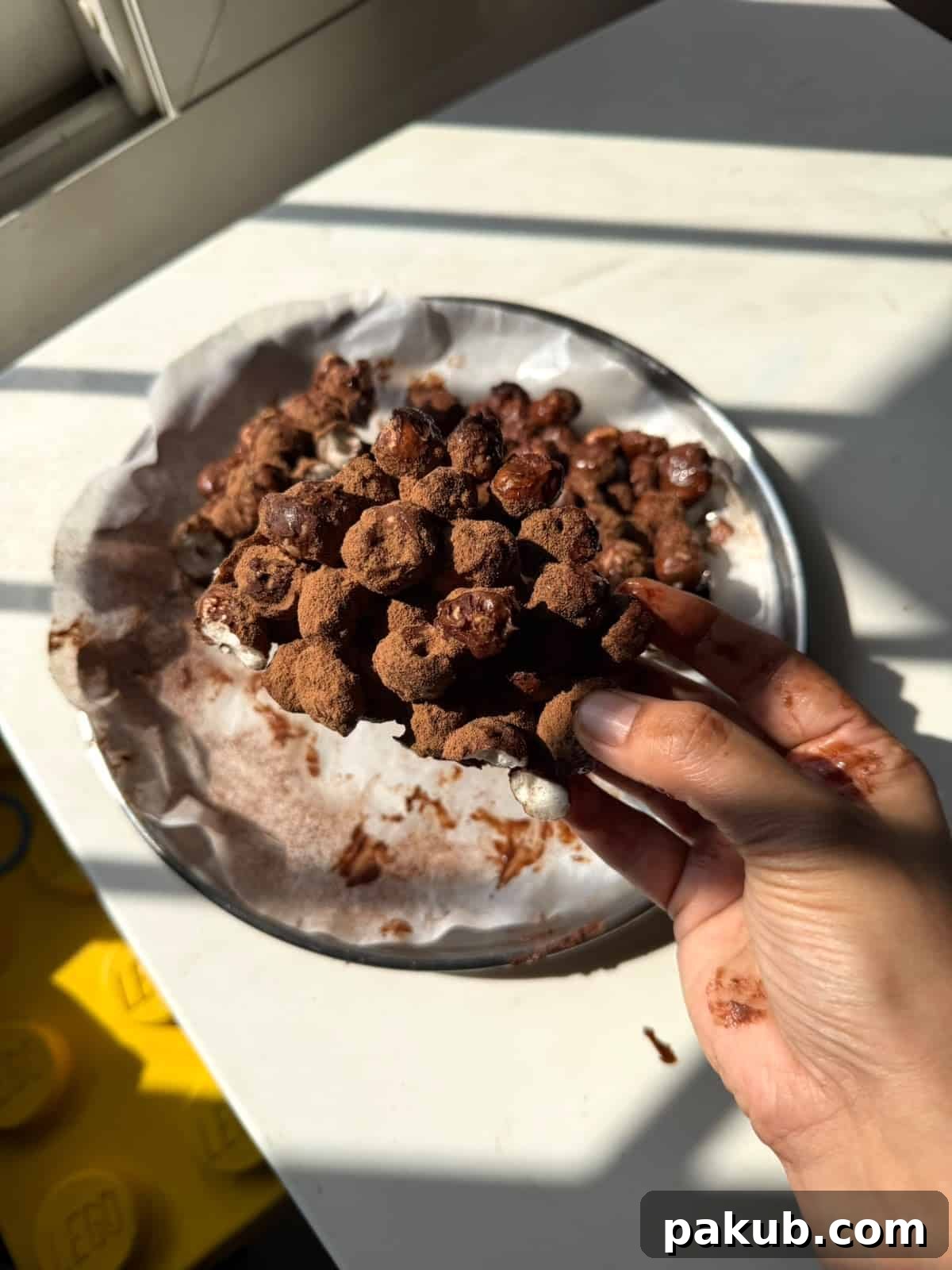 a person holding a piece of makhana chocolate bark 